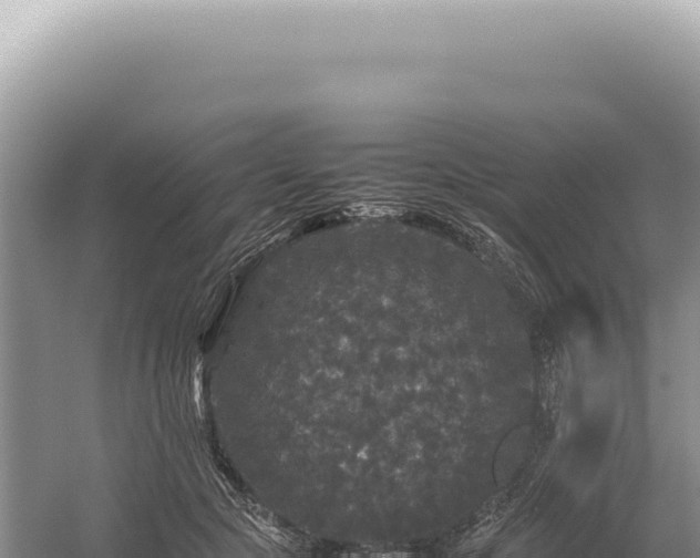 X0000054410553200508051742