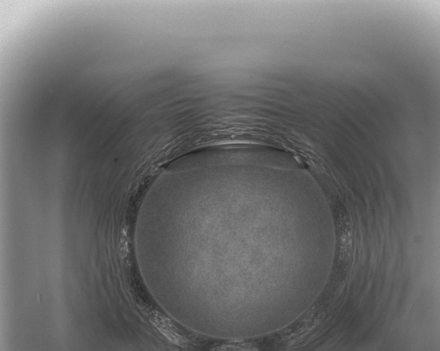 X0000054410555200508051742