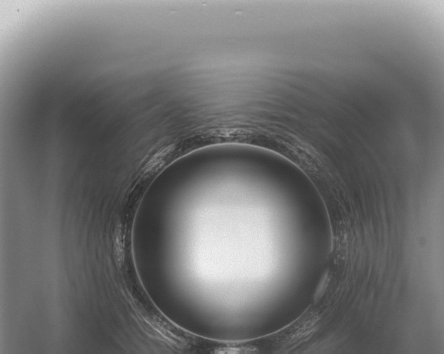 X0000054410558200508051742