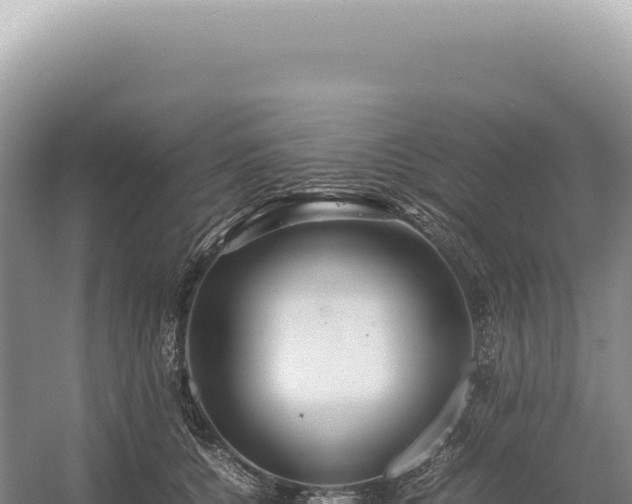 X0000054410560200508051742