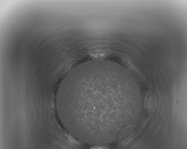 X0000054410561200508051743