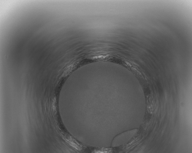 X0000054410563200508051743