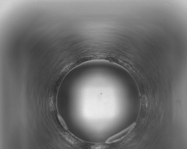 X0000054410564200508051743