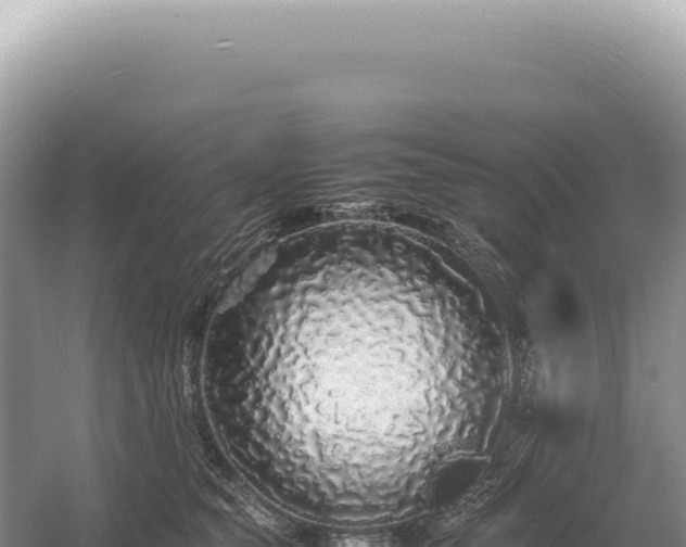 X0000054410565200508051743