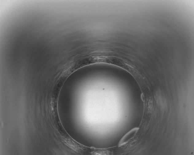 X0000054410567200508051743