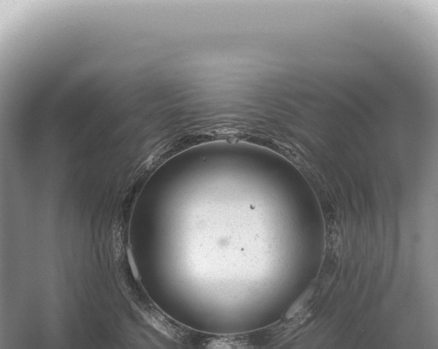 X0000054410568200508051743