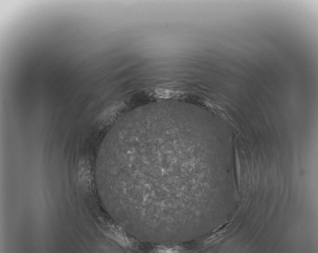 X0000054410569200508051743