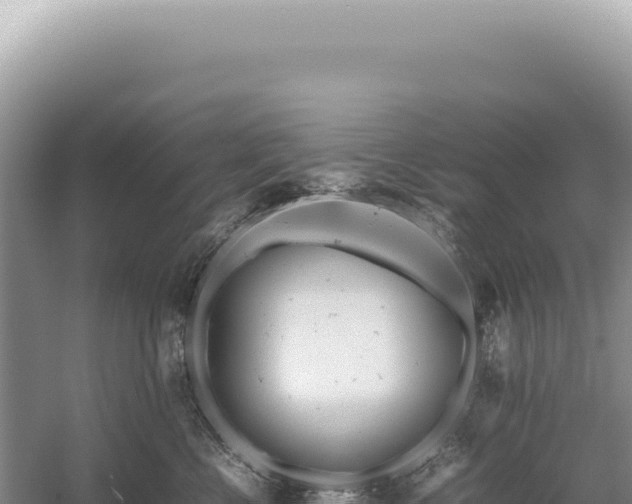 X0000054410570200508051743