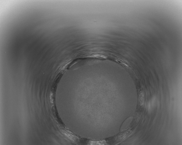 X0000054410571200508051743