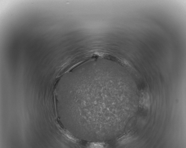 X0000054410573200508051743