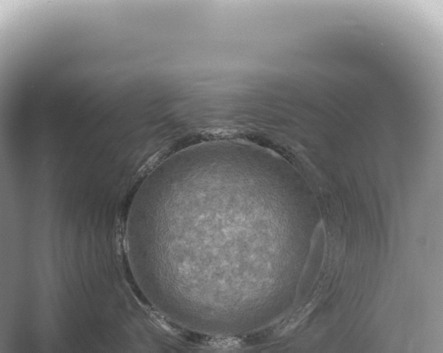 X0000054410576200508051743