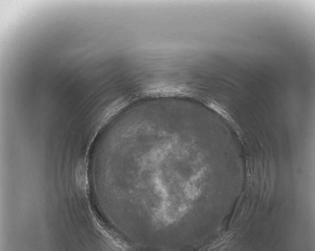 X0000054410582200508051742