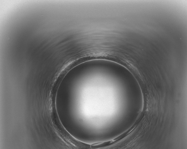 X0000054410584200508051742