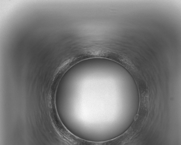 X0000054410587200508051742