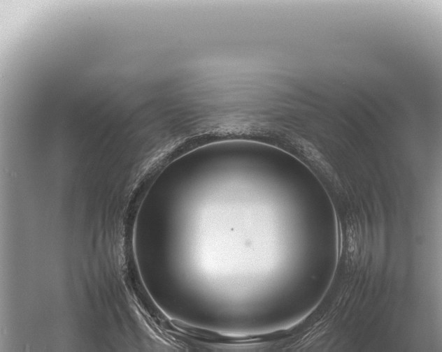 X0000054410588200508051742