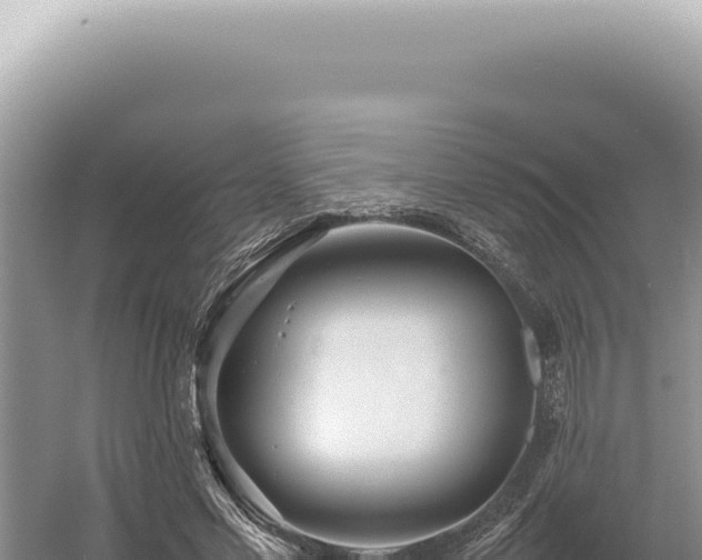 X0000054410589200508051742