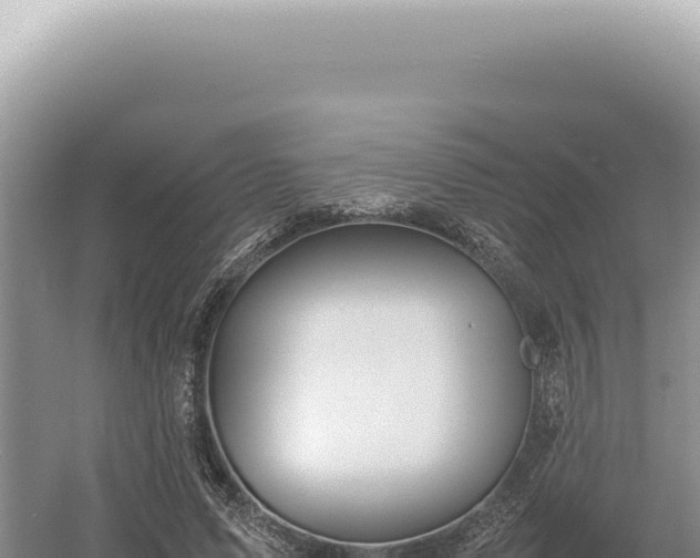 X0000054410591200508051742