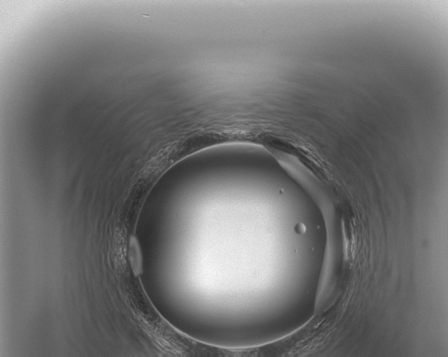 X0000054410593200508051742