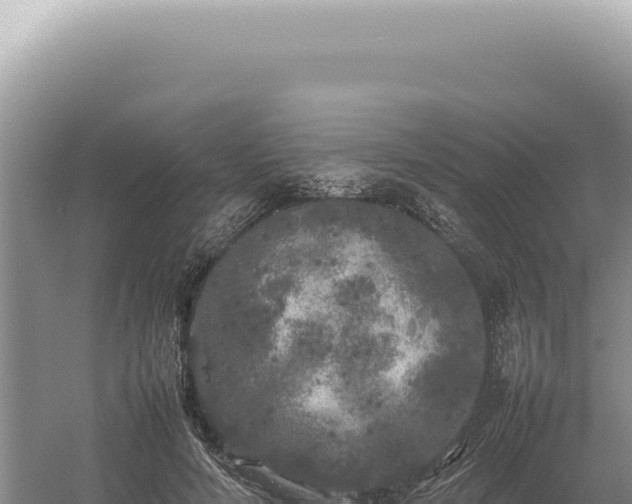 X0000054410594200508051742