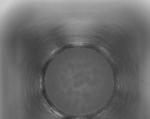 X0000054410596200508051742