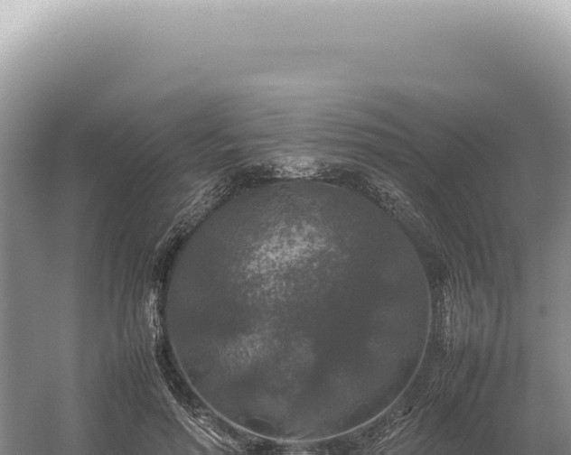 X0000054410598200508051742