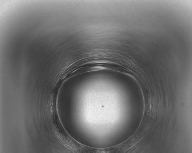 X0000054410600200508051742