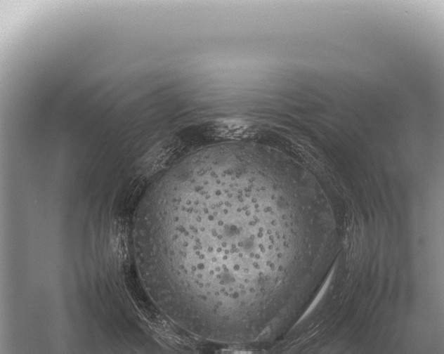 X0000054410602200508051742