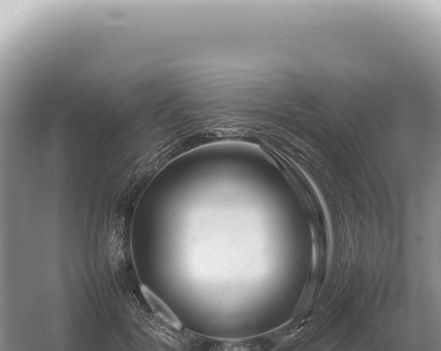 X0000054410604200508051741