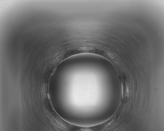 X0000054410605200508051741