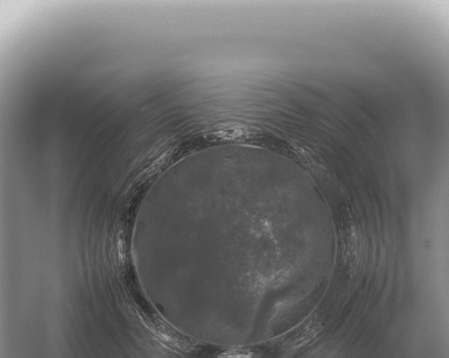 X0000054410606200508051741