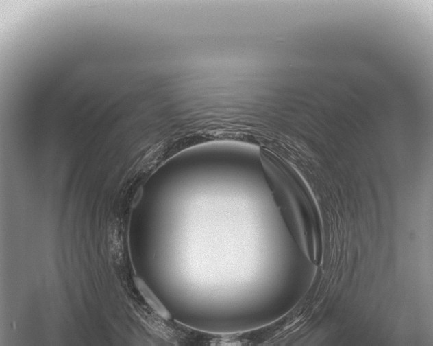 X0000054410607200508051741