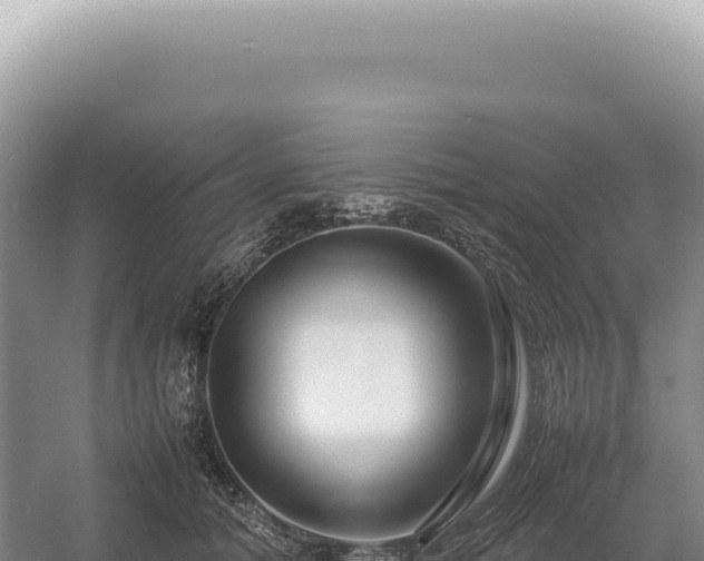 X0000054410608200508051741