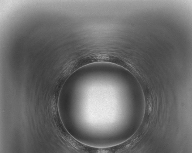 X0000054410609200508051741