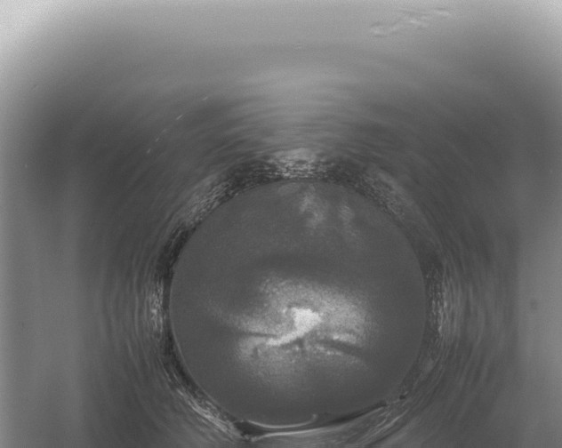 X0000054410610200508051741