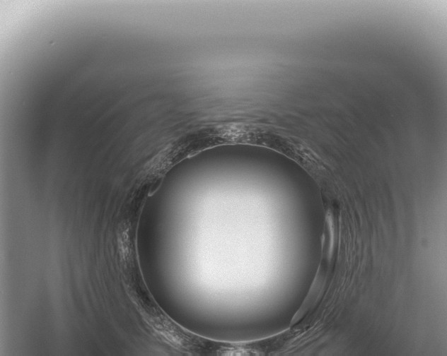 X0000054410611200508051741