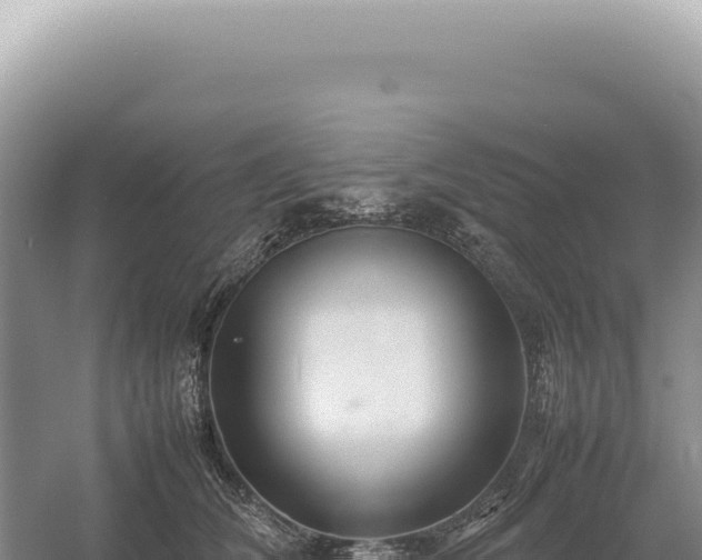 X0000054410612200508051741