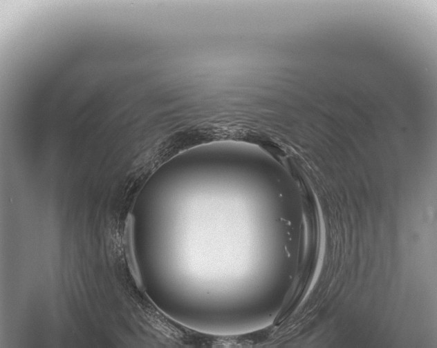 X0000054410613200508051741