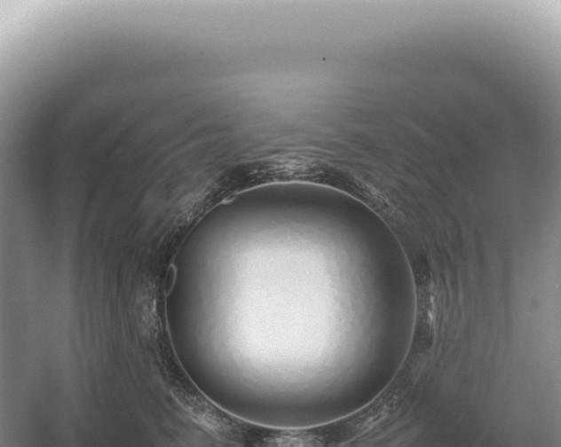 X0000054410615200508051741