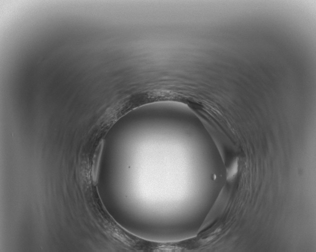 X0000054410617200508051741