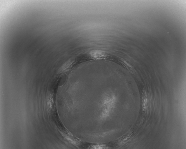 X0000054410618200508051741