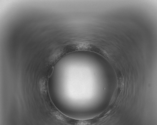 X0000054410619200508051741