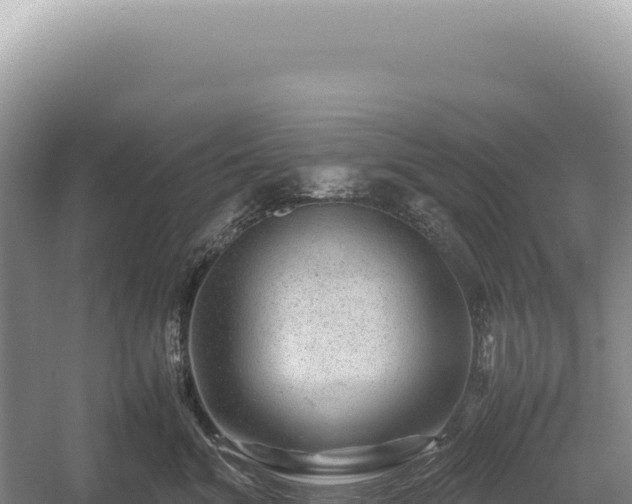 X0000054410620200508051741