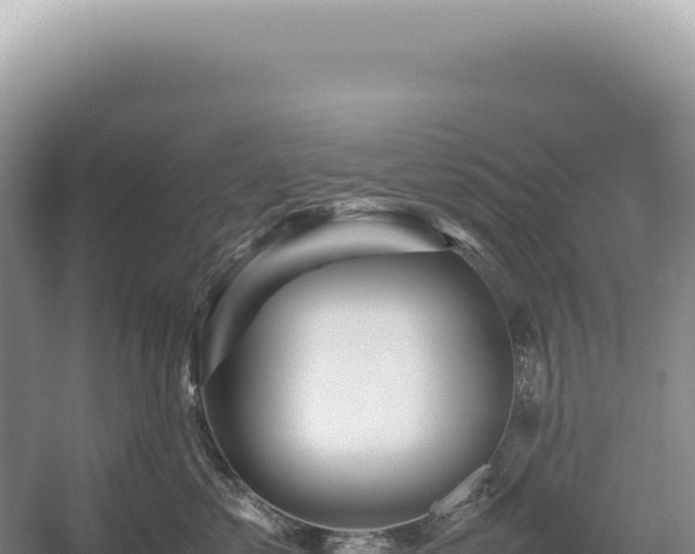 X0000054410621200508051741