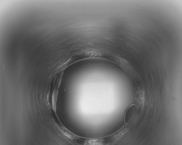 X0000054410622200508051741