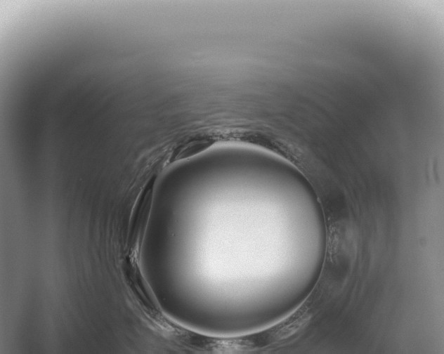 X0000054410623200508051741