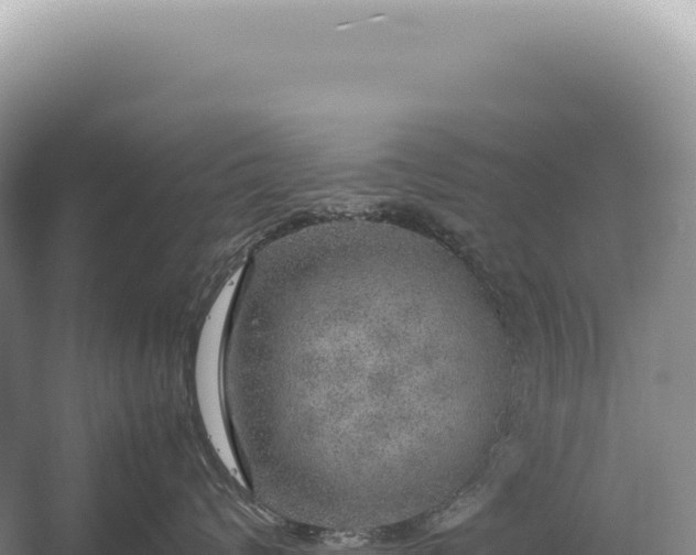 X0000054410624200508051741