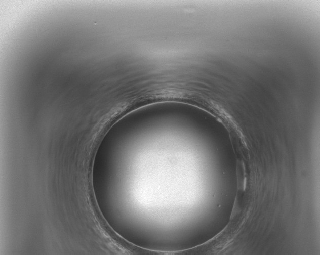 X0000054410625200508051740