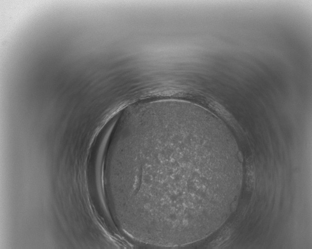 X0000054410626200508051740