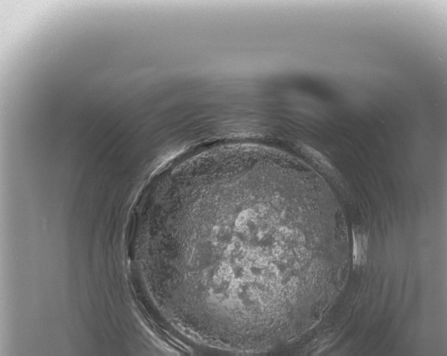 X0000054410627200508051740