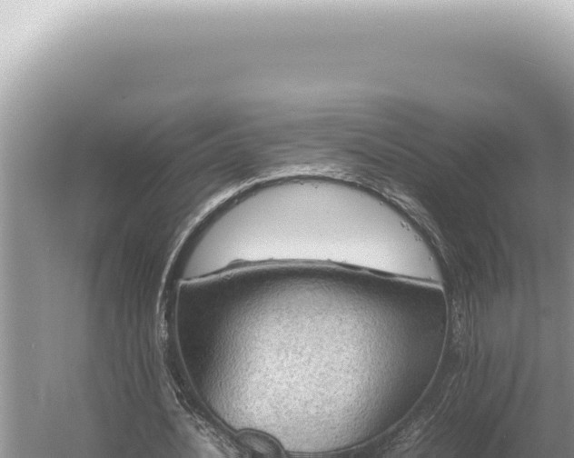 X0000054410628200508051740